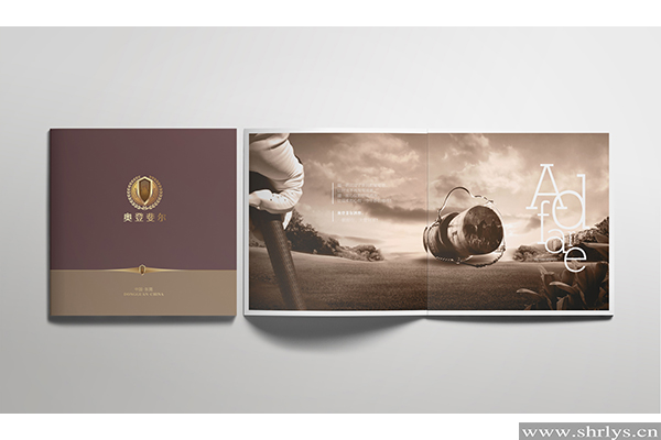 Accurate Government affairs printed brochures Printing in China with Clear Typography and Layout