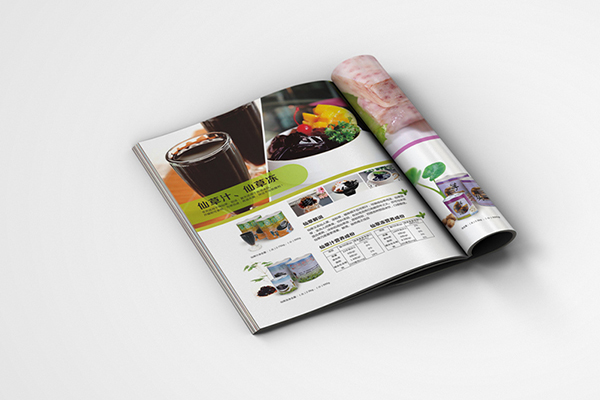 China Zenith brochure Print design pictures Brochure Printing – Fast Turnaround