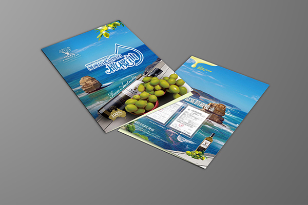 ChinaFactory high-end brochure printing Creative Brochure Printing for Brand Identity and Visual Communication