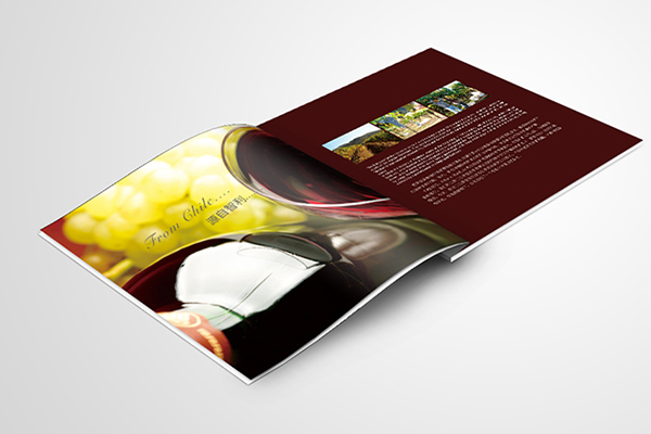 China Braille Brochure black and white printing production process Printing Factory – Inclusive Design