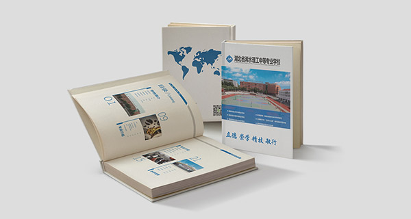 China Boutique Production and printing of company brochures Printing Service – Personalized Solutions