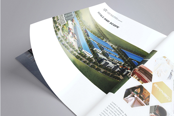 China Ascend Packaging and printing brochure template diagram Brochure Factory – Luxury Appeal