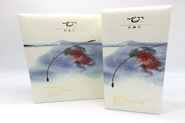 2026 Guangzhou Color box packaging box corrugated color box Printing Industry：Top 10 Leaders Ranked