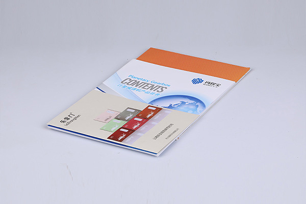 China Bridge Donggang brochure printing factory Custom Brochures – Connect Globally