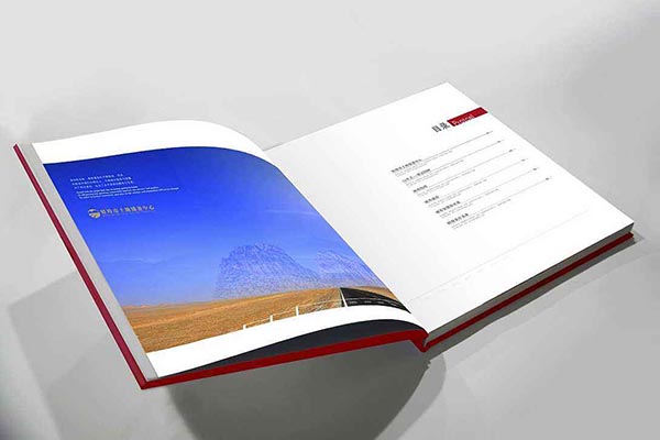 China Braille Brochure printing agent Printing Factory – Inclusive Design