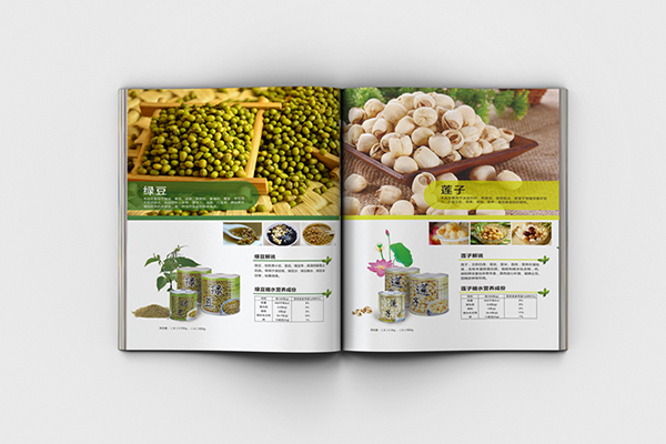 China Beacon Power brochure printing design Brochure Printing – Guiding Light