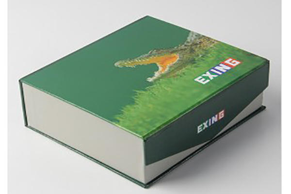 Accurate Design brochures and print them in Qingbaijiang District Printing in China with Clear Typography and Layout