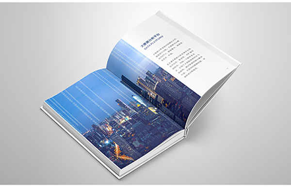 China Bridge School brochure printing company Printing Factory – Bridge the Gap