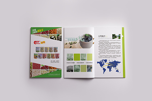 China Amazing Design and print brochure manufacturer Printing Solutions – Amazing Results