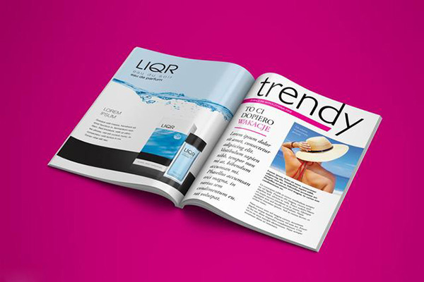 China Ascend Daeguzhuang printed brochures Printing Solutions – Rise Above