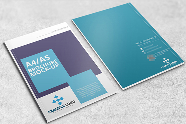 China Amazing Exquisite and generous brochure printing Printing Solutions – Amazing Results