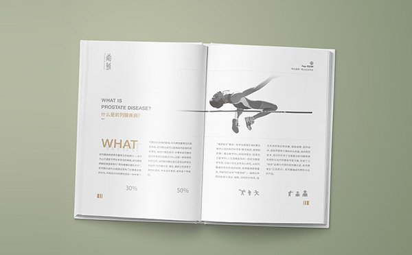 China Boutique Comic brochure printing Printing Service – Personalized Solutions