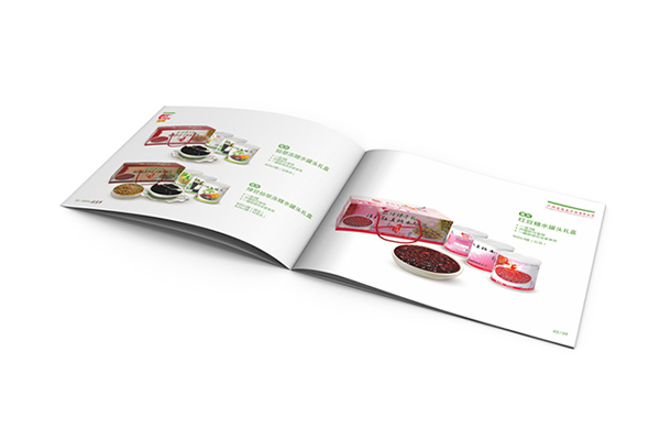 China Boundless Brochure printing price comparison Printing Factory – Boundless Options
